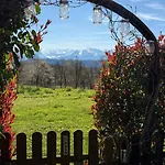 Langhe Wine & Relax Villa *