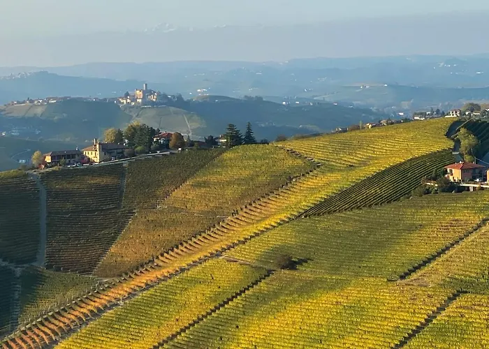 Langhe Wine&relax Novello