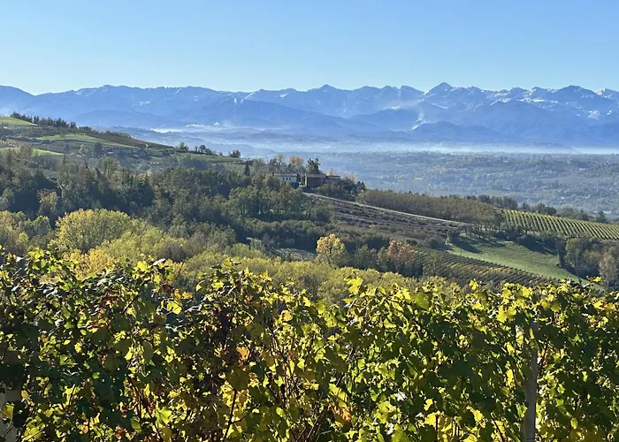 Villa Langhe Wine&relax Novello